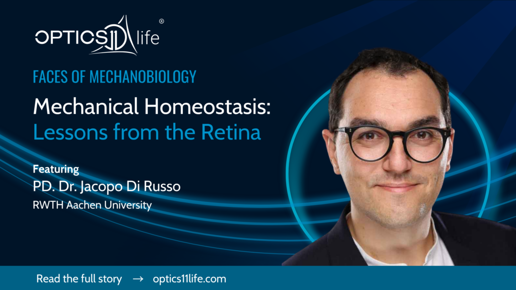 Faces of Mechanobiology Jacopo di Russo Mechanical Homeostasis: Lessons from theRetina