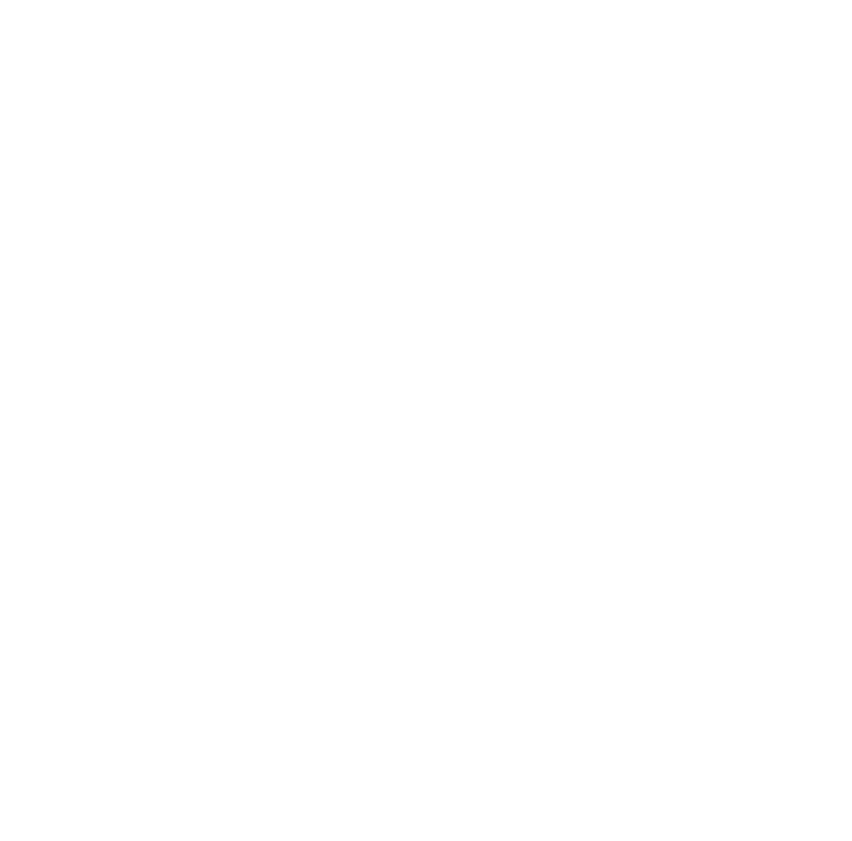 Passion: At Optics11 Life we are passionate about making meaningful and valuable contributions.