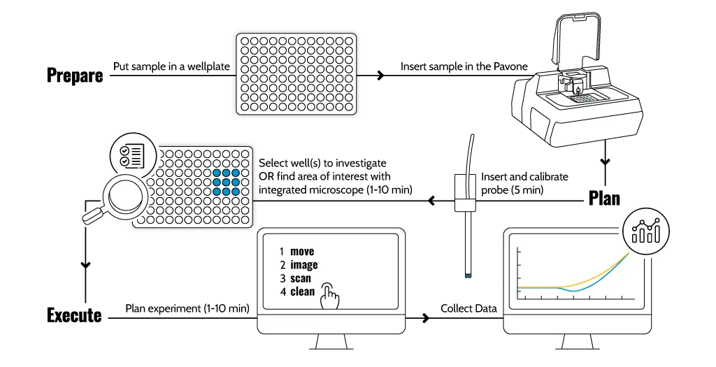 Optics11 Life Pavone Flowchart