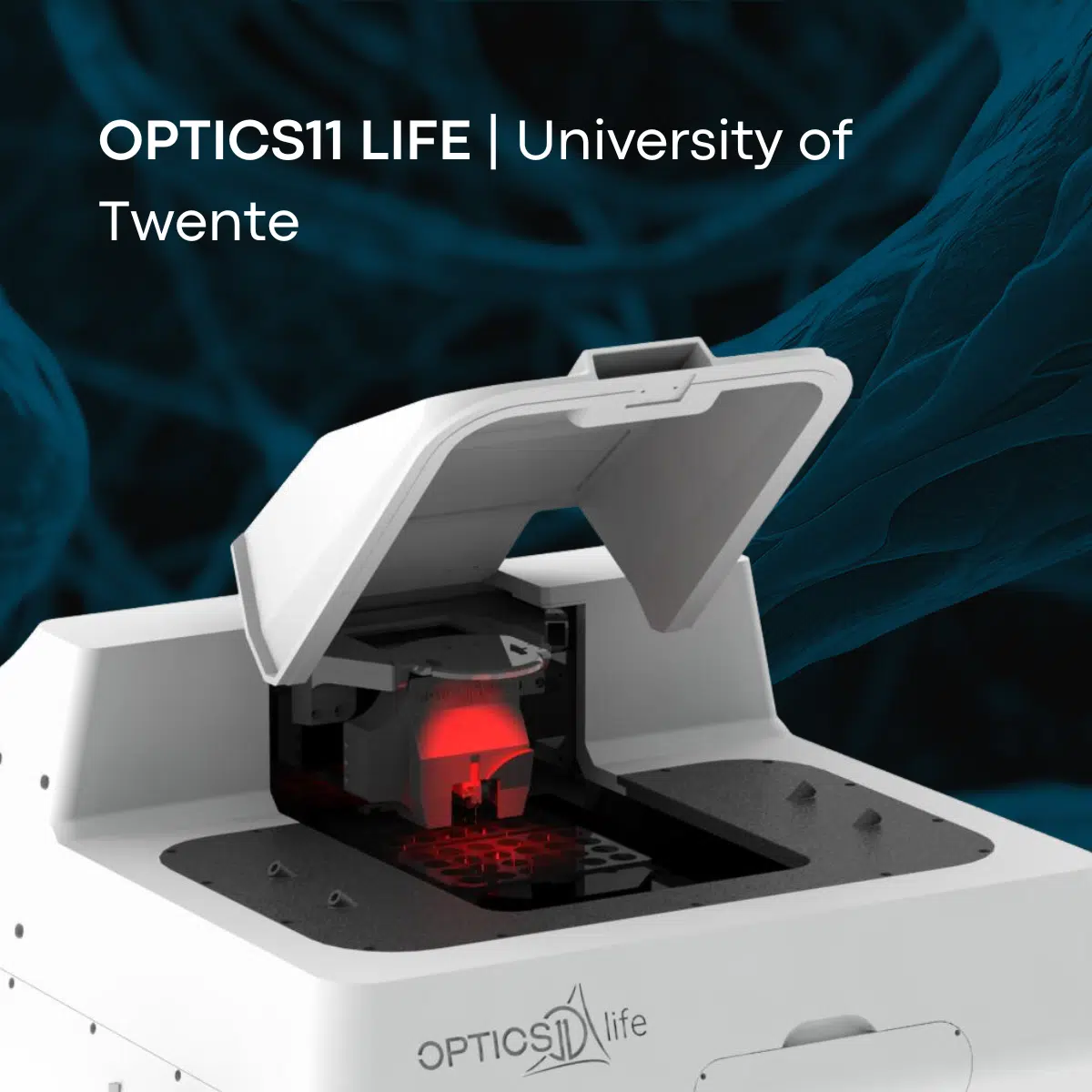 Homepage Optics11 Life