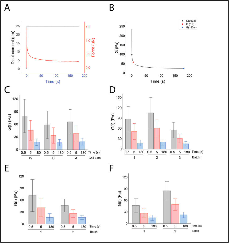 Plots of brain organoid viscoelastic indentation showing force relaxation, relaxation modulus G(t), and variability across cell lines and batches.